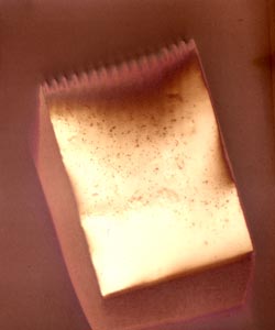 prm