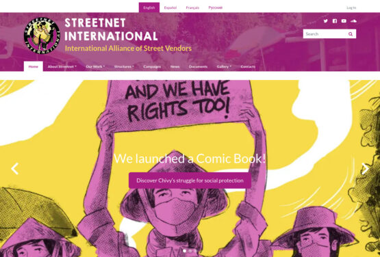 Captura de pantalla de streetnet.org.za